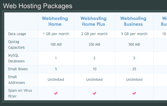 Example of a nicely styled accessible data table for Web Hosting Packages.