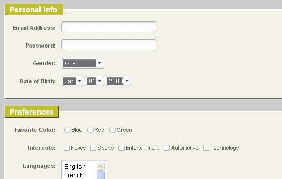 Portion of a nicely styled accessible form.