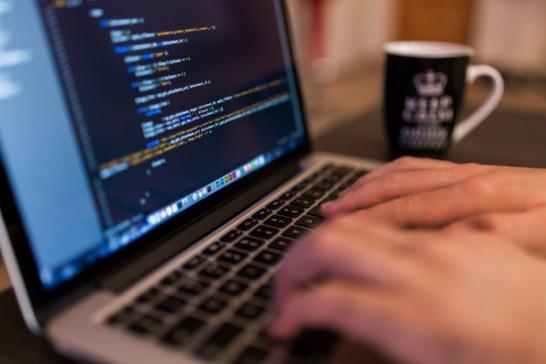 what to ask a web developer