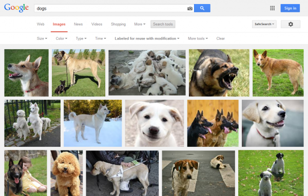 Google Images Advanced Search